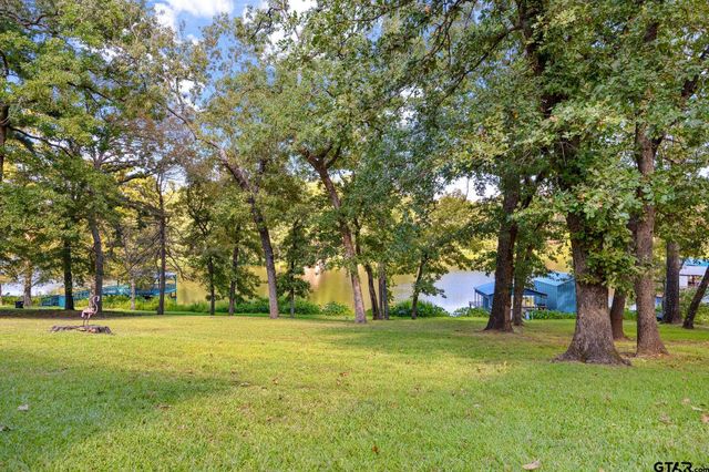 20650 W Grove Club Lake Rd, Whitehouse, TX 75791
