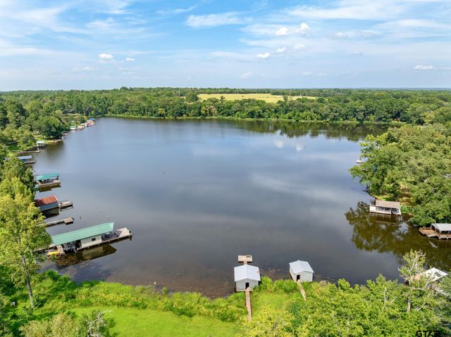 20650 W Grove Club Lake Rd, Whitehouse, TX 75791