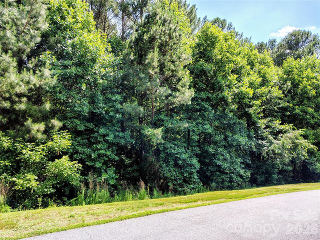 210 Harbor Ridge Drive, Connelly Springs, NC 28612