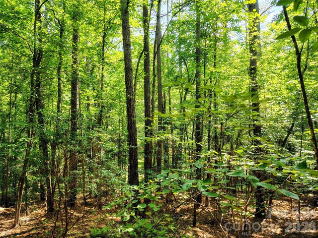 210 Harbor Ridge Drive, Connelly Springs, NC 28612