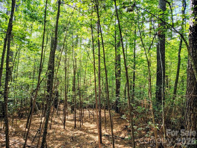 210 Harbor Ridge Drive, Connelly Springs, NC 28612