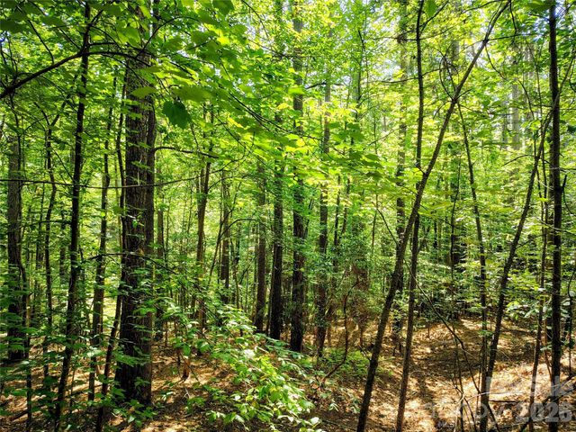 210 Harbor Ridge Drive, Connelly Springs, NC 28612