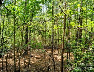 210 Harbor Ridge Drive, Connelly Springs, NC 28612