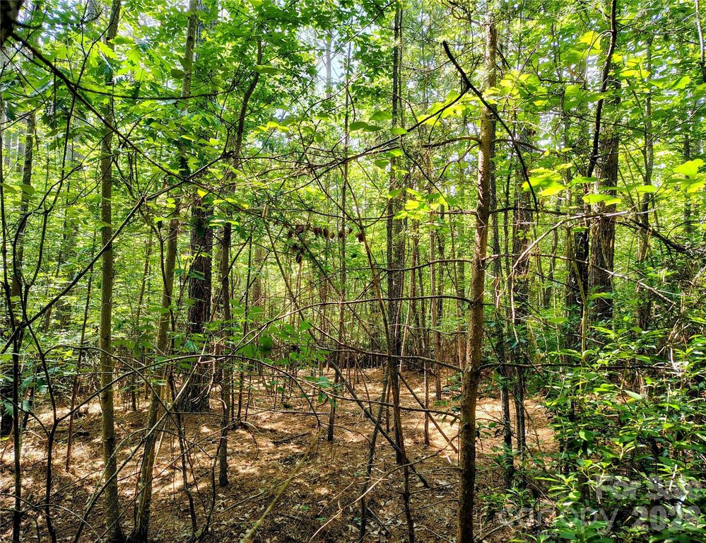 210 Harbor Ridge Drive, Connelly Springs, NC 28612