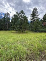 5028 Crow Drive, Larkspur, CO 80118