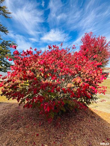 21 BRICKER Circle, Avon, IL 61415