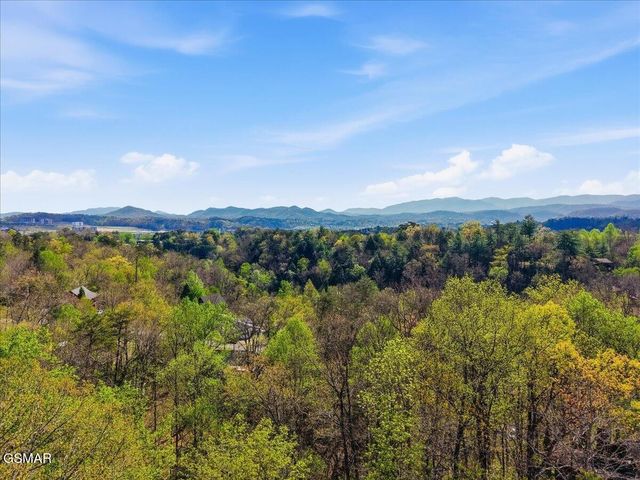 623 Country Oaks Drive, Pigeon Forge, TN 37863