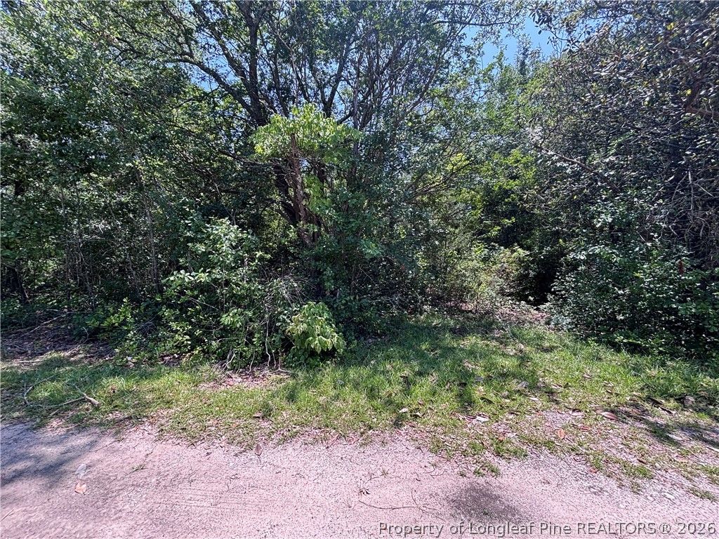 Doby Drive, Raeford, NC 28376 — exterior