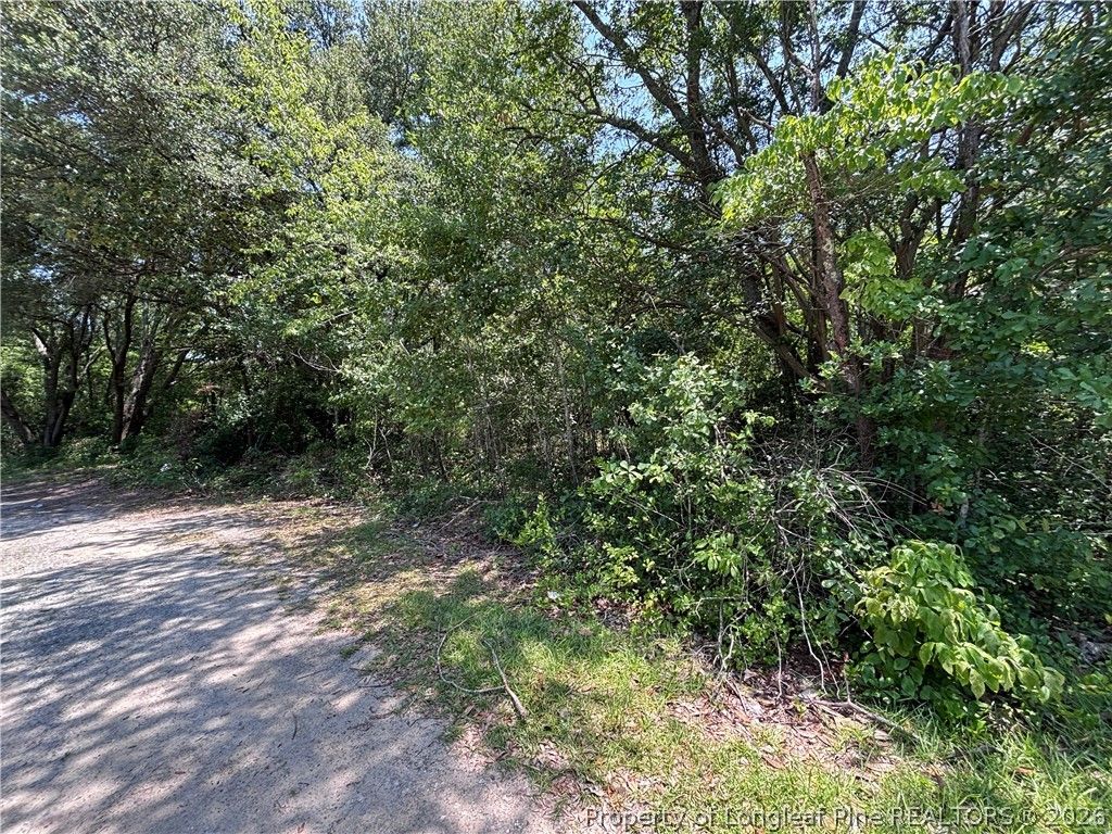 Doby Drive, Raeford, NC 28376 — photo 2