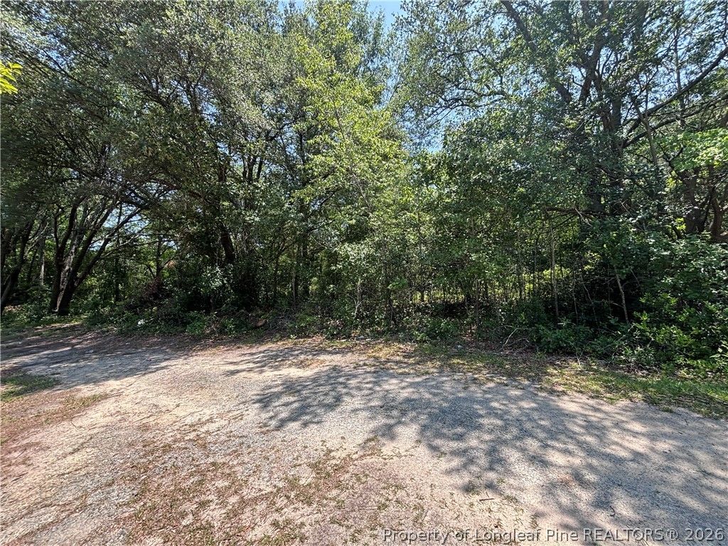 Doby Drive, Raeford, NC 28376 — photo 3