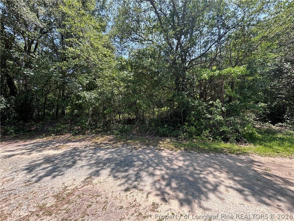 Doby Drive, Raeford, NC 28376 — photo 4