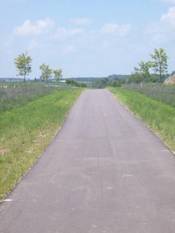 L17 Angelica Trail, Sun Prairie, WI 53590