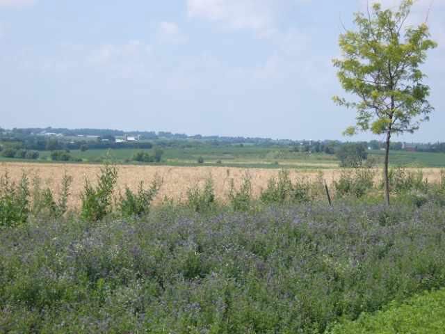 L17 Angelica Trail, Sun Prairie, WI 53590