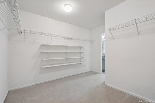 2620 Trailblazer Way, Castle Rock, CO 80109