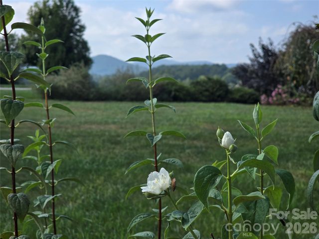 173 Pisgah Ridge Trail, Mills River, NC 28759