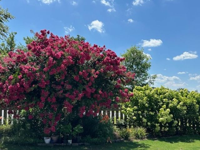 422 Bucklebury Road, Greer, SC 29651