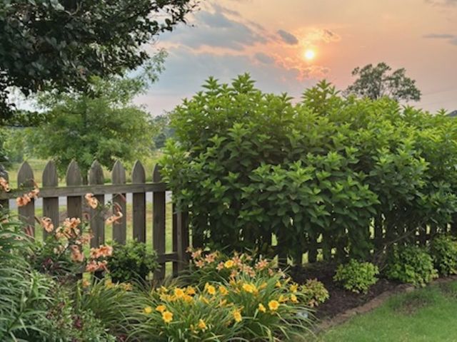 422 Bucklebury Road, Greer, SC 29651