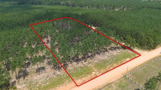 0 Richardson Road E, Livingston, TX 77351