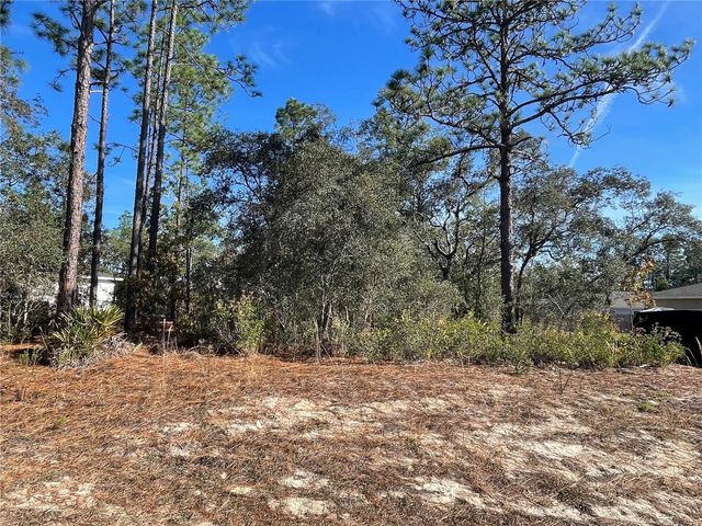 11475 N KENNEY LOOP, Dunnellon, FL 34433