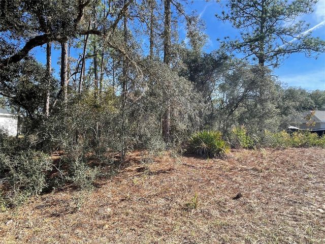 11475 N KENNEY LOOP, Dunnellon, FL 34433