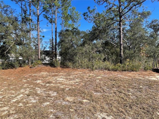 11475 N KENNEY LOOP, Dunnellon, FL 34433