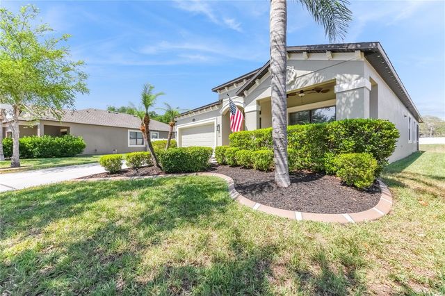 11510 SCARLET IBIS PLACE, Riverview, FL 33569