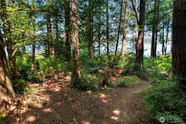 559 E Pointes Drive, Shelton, WA 98584