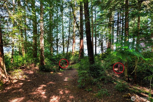 559 E Pointes Drive, Shelton, WA 98584