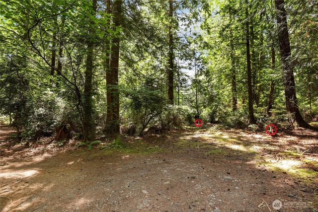 559 E Pointes Drive, Shelton, WA 98584