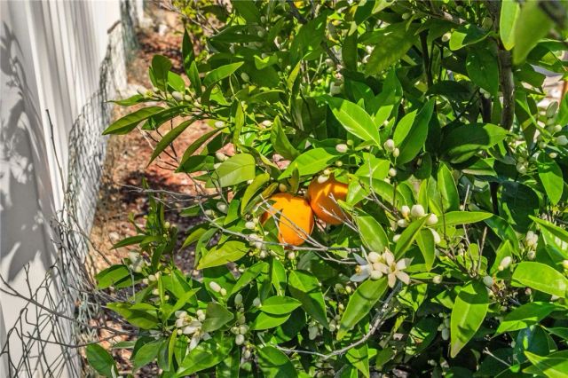 32924 Charmes Court, Temecula, CA 92592