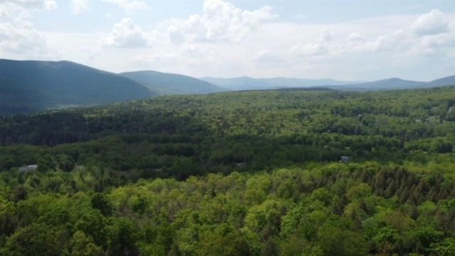 2159 Route 296, Hunter, NY 12442