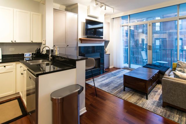 1546 N Orleans Street 407, Chicago, IL 60610