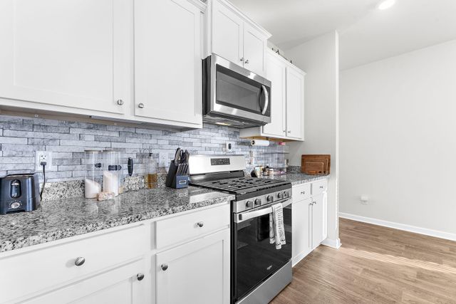 119 Green Passage Lane, Summerville, SC 29486