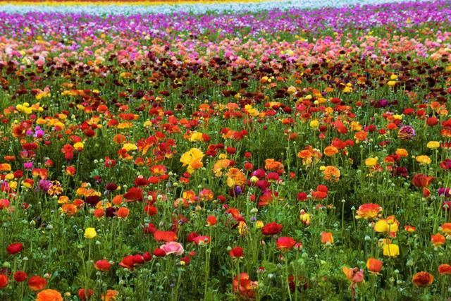 2652 Jefferson Street, Carlsbad, CA 92008