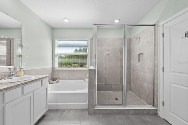 8693 BOWER BASS CIRCLE, Wesley Chapel, FL 33545