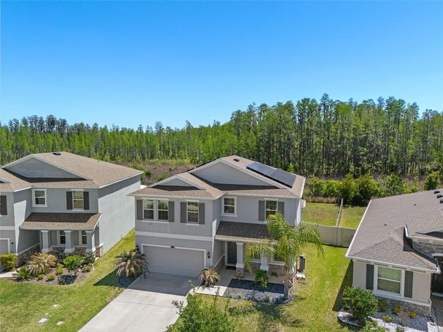 8693 BOWER BASS CIRCLE, Wesley Chapel, FL 33545