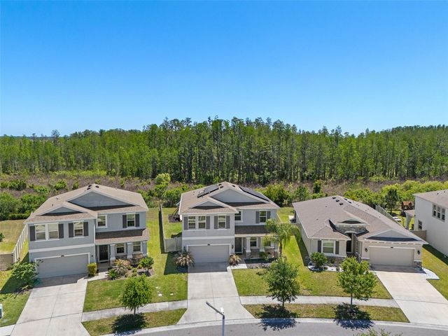8693 BOWER BASS CIRCLE, Wesley Chapel, FL 33545