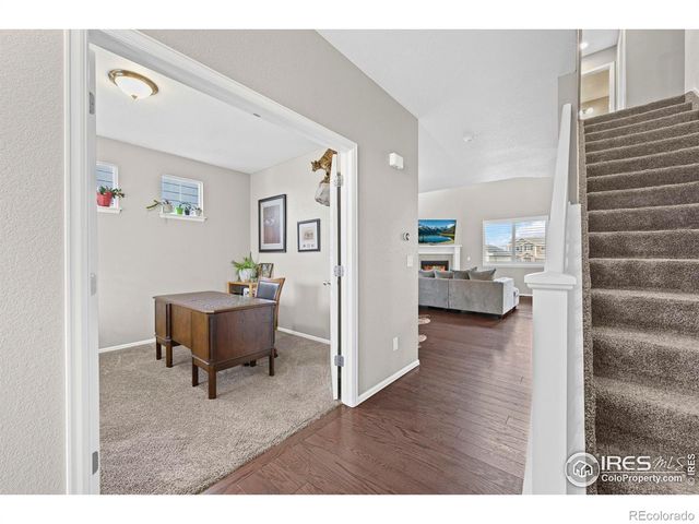 2175 Longfin Drive, Windsor, CO 80550