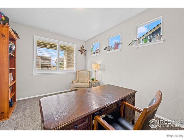 2175 Longfin Drive, Windsor, CO 80550