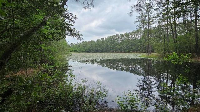 30569 Lake Rd, Waller, TX 77484