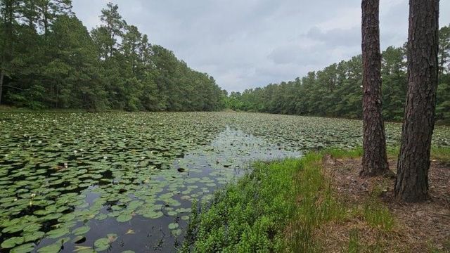 30569 Lake Rd, Waller, TX 77484