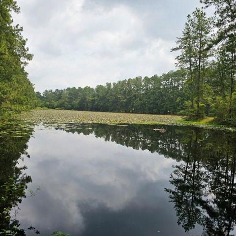 30569 Lake Rd, Waller, TX 77484