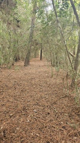 30569 Lake Rd, Waller, TX 77484