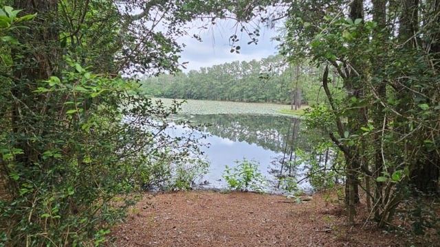 30569 Lake Rd, Waller, TX 77484