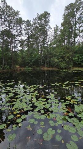 30569 Lake Rd, Waller, TX 77484