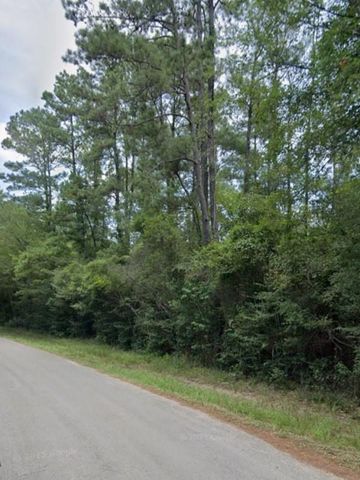 30569 Lake Rd, Waller, TX 77484