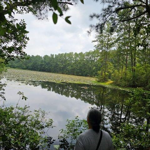 30569 Lake Rd, Waller, TX 77484