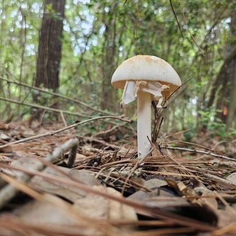 30569 Lake Rd, Waller, TX 77484