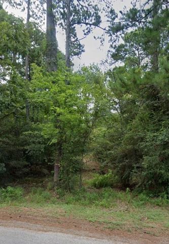 30569 Lake Rd, Waller, TX 77484