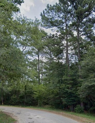 30569 Lake Rd, Waller, TX 77484